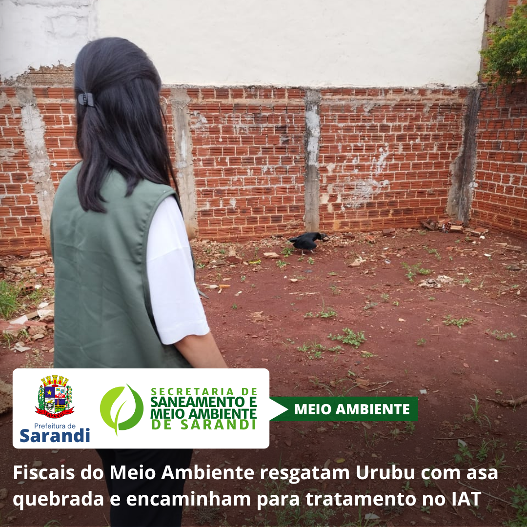 Fiscais do Meio Ambiente resgatam Urubu com asa quebrada e encaminham para tratamento no IAT